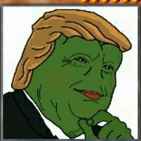 mytrumpcard
