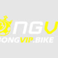 BONGVIP - Kênh Xem Bóng Đá Trực Tuyến Uy Tín Miễn Phí