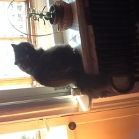 Василий Рожков