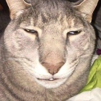 Коля Кольян