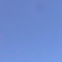 videovorokorotkov