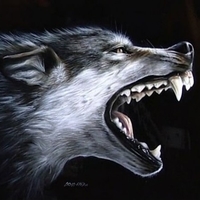 MadWolf