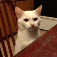 Влад Раскосов