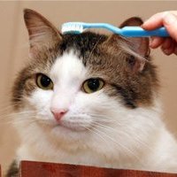 Саша Тепляков