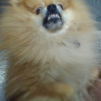 DaNy
