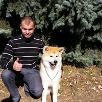 Мишутко Березняк