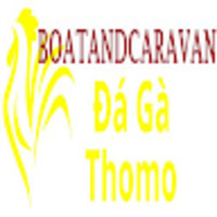 Đá Gà Trực Tiếp Thomo