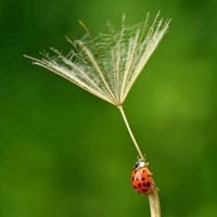 Паровозик Томас