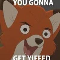 Youthfoxes