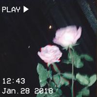 𝙱𝙰𝚉𝚈𝙽𝚇