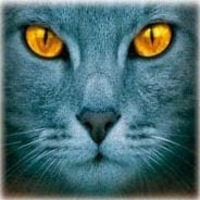 Brambleclaw