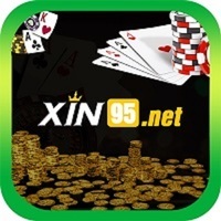 xin95net