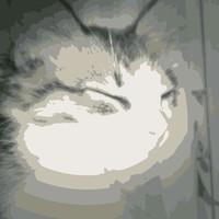 DjRenko