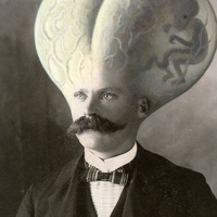 MarkHead