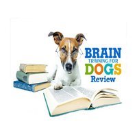 Brain Training For Dogs