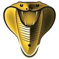 Cobra Iptv