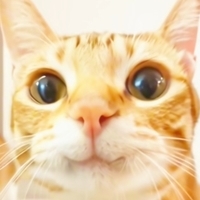 holi_nam