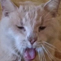 mmmGoodShit
