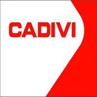 Day Cadivi