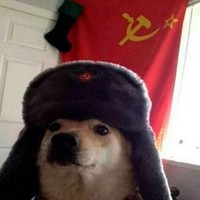 SokoL
