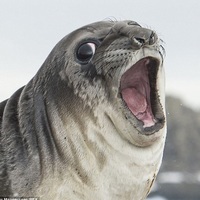 SealHub