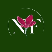 Nectar Flowers Ottawa