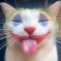 Cati_Coub