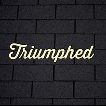 Coub profile picture for @triumphed