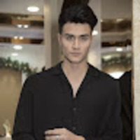 CEO VSEDEN
