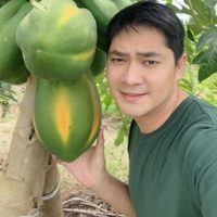 chibao chattieu