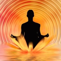 Theinfodaily