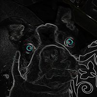 theblackcracker982