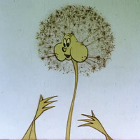 Taraxacum