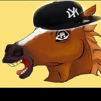 SirHorseMan