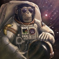 Space monkey