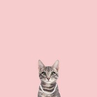 fmrighty