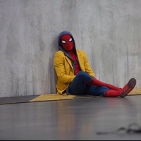 The Marvel and DC fan