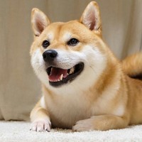 Borking