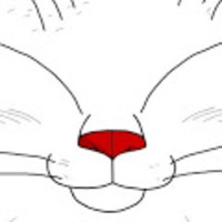 CatzyKitten