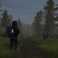 Dayz Staker RP Call Of The Zone