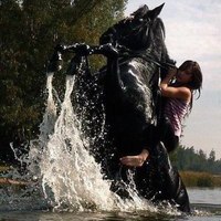 𝔇𝔞𝔤𝔤𝔢𝔯