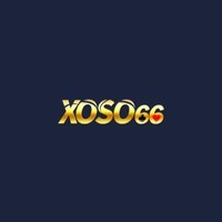 bet66