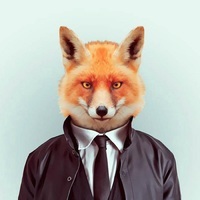 Alex Fox