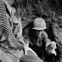 History_Of_Warfare