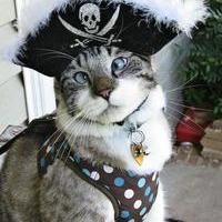Baron Menor