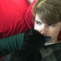 Tasty_Stanwich