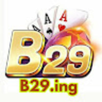 B29