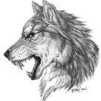Vorob