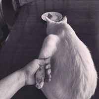 Евгений Капля