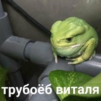 Иван Лисовой